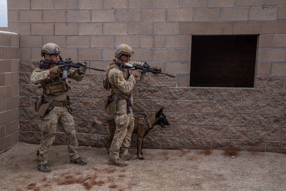 SOCS-D SOF Level 1