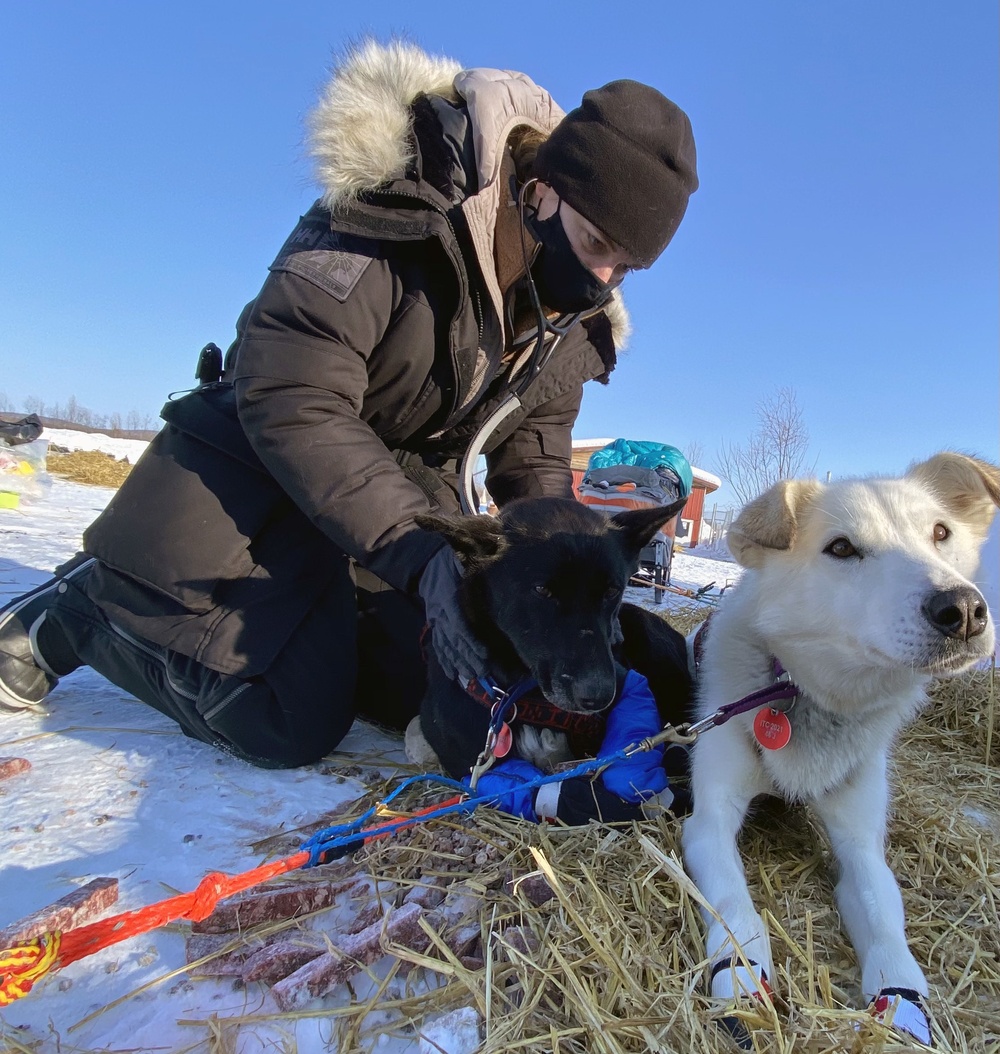 Public Health Command Europe veterinarians support the Iditarod