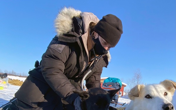 Public Health Command Europe veterinarians support the Iditarod