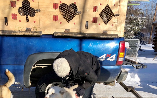 Public Health Command Europe veterinarians support the Iditarod