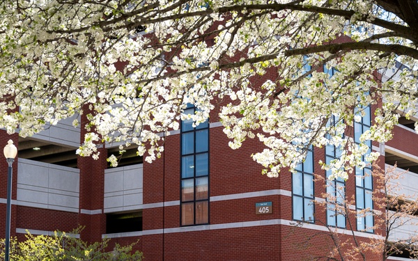 NSAW FFR Eggstravaganza