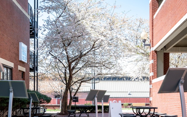 NSAW FFR Eggstravaganza