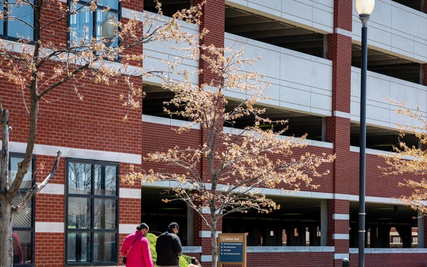 NSAW FFR Eggstravaganza