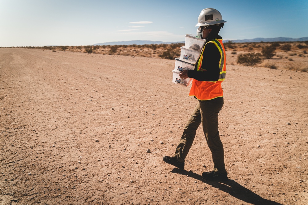 Head Start Program releases Desert Tortoise juveniles into the Wilderness