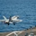 USS Theodore Roosevelt (CVN 71)