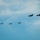 USS Theodore Roosevelt (CVN 71)