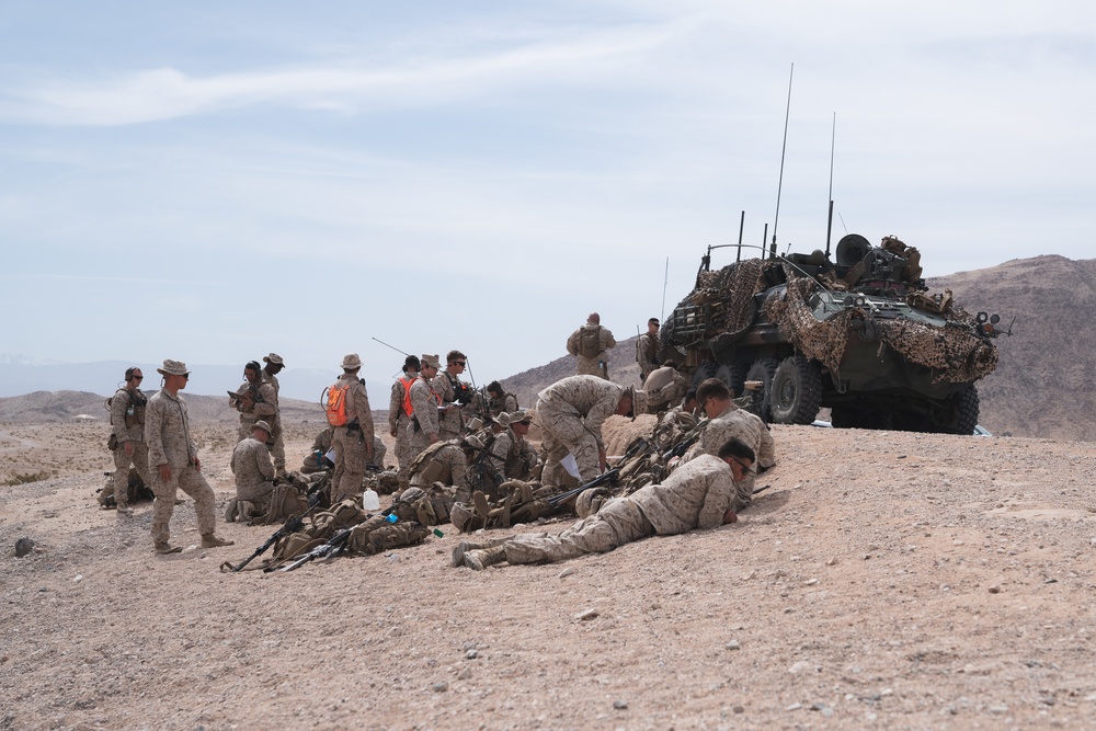 Marines call for fire during ITX
