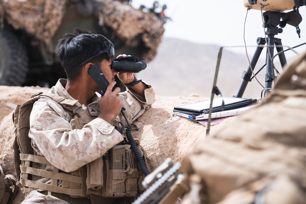 Marines call for fire during ITX