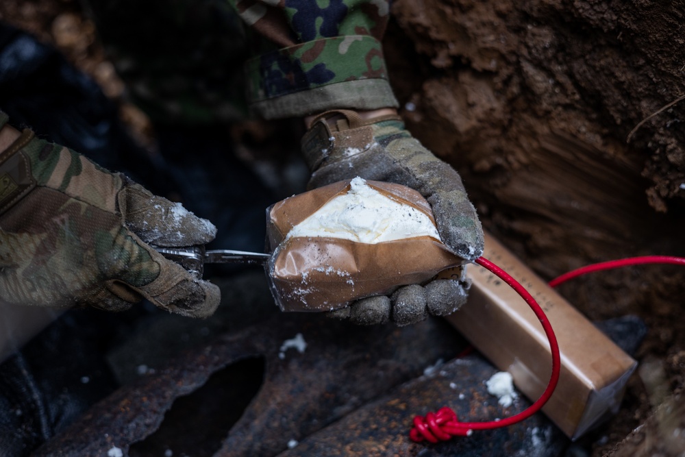 JGSDF, MCIPAC EOD technicians conduct UXO disposal operations