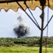 JGSDF, MCIPAC EOD technicians conduct UXO disposal operations