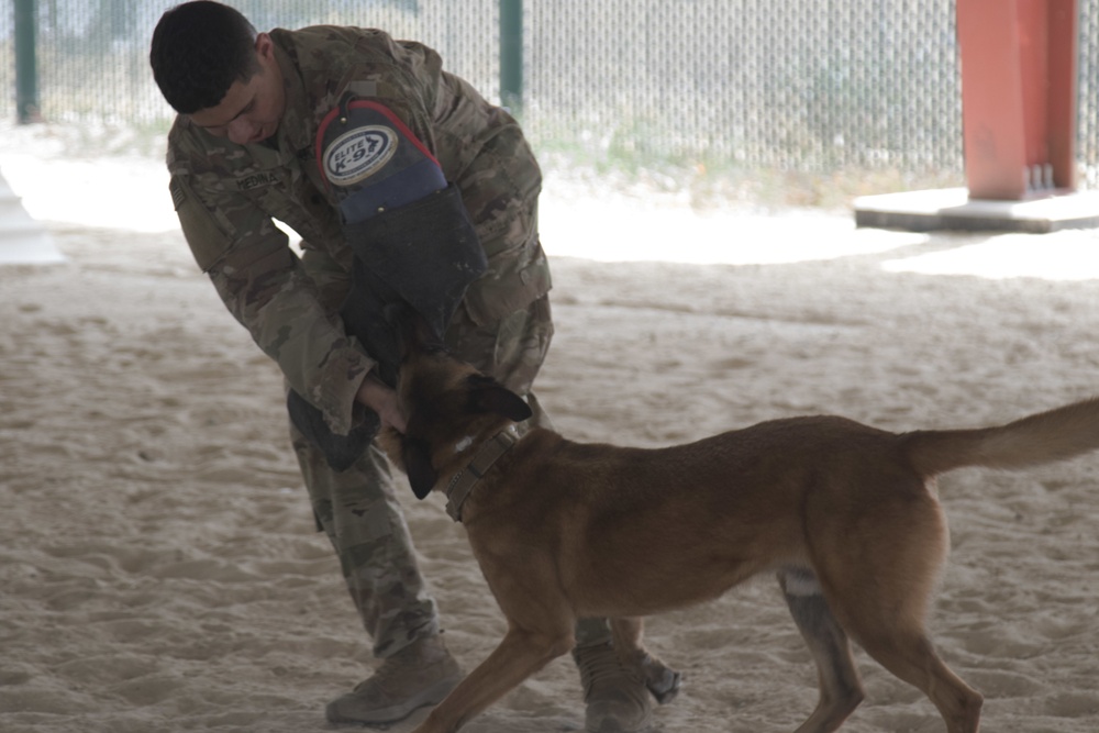 ASG-Kuwait K-9 unit holds demonstrations for Task Force Spartan Soldiers