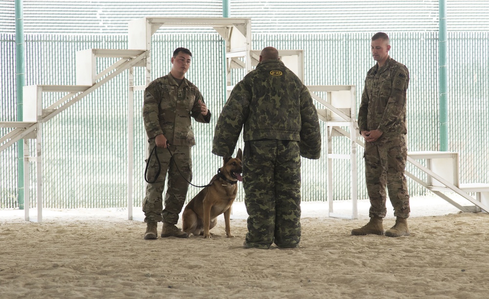 Col. David Burger, G-3 for Task Force Spartan, takes part in a K-9 capabilities demonstration