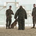 Col. David Burger, G-3 for Task Force Spartan, takes part in a K-9 capabilities demonstration