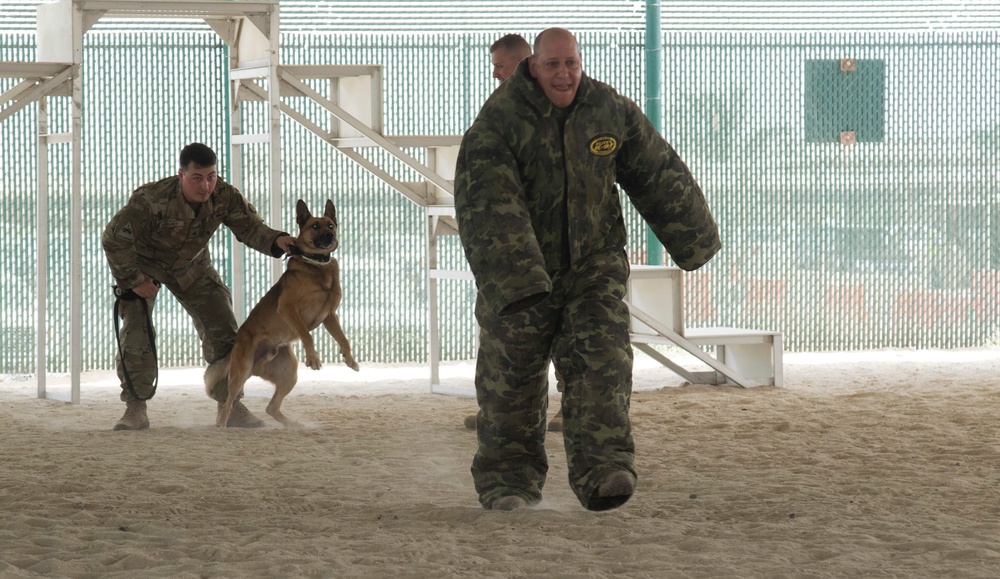 Co. David Burger, the G-3 for Task Force Spartan, takes part in K-9 capabilities demonstration