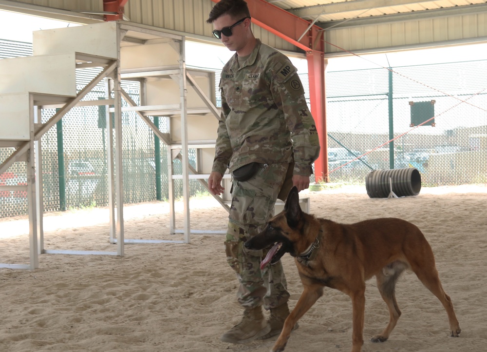 Area Support Group-Kuwait's K-9 unit holds capabilities demonstrations