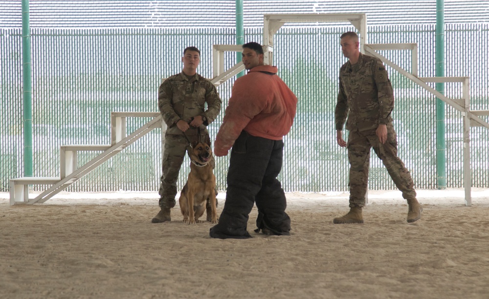Task Force Spartan Soldier takes part in K-9 unit capabilities demonstration
