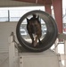 Area Support Group - Kuwait K-9 unit holds working dog capabilities demonstration