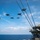 USS Theodore Roosevelt (CVN 71)