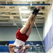 U.S. Air Force Academy Men's Gymnastics MPSF Championships