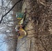 Otter Creek and Maumee River cleanup