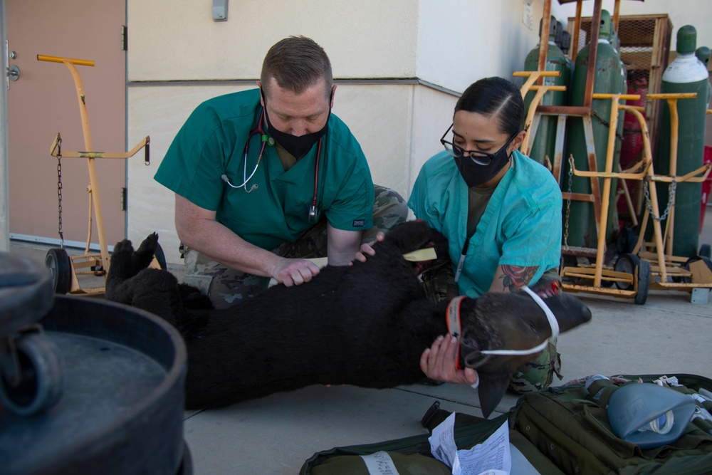 Animal Care Specialist Training