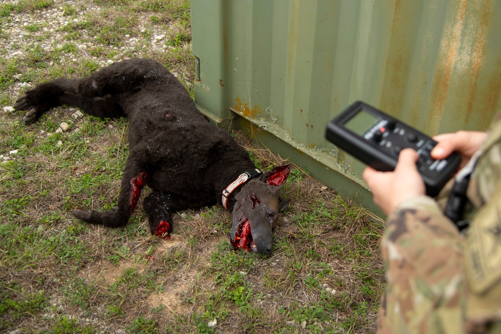 Animal Care Specialist Training