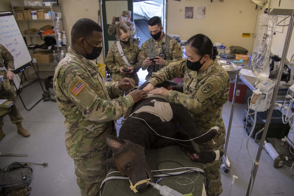 Animal Technician Training