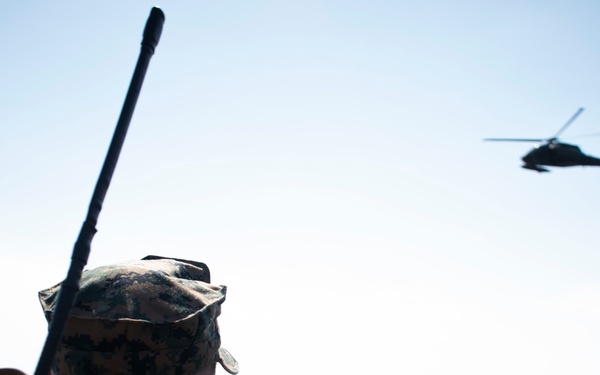Marines, Soldiers conduct joint helicopter-borne assault at Numazu Beach Training Area