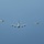 5th generation fighter training