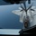 5th generation fighter training