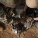 U.S. Africa Command forces conduct training with partner forces in Gao, Mali