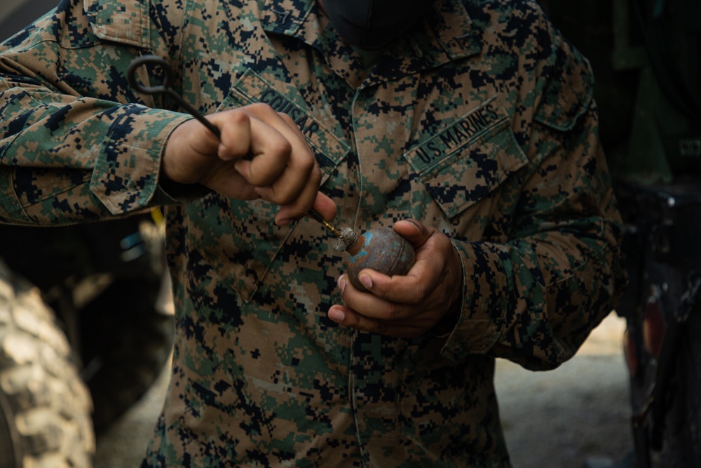 MASS-2 Grenade Range