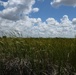 Central Everglades Planning Project Contract 1