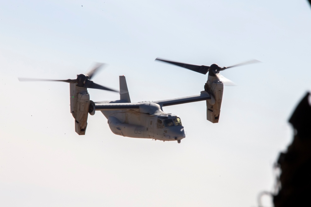 WTI 2-21: MV-22B Day Guns