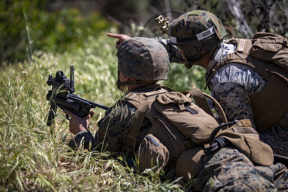 IMC Marines conduct combined arms fire, maneuver range