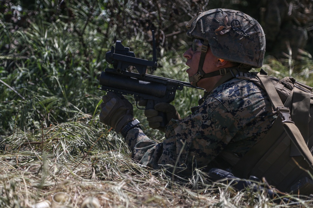 IMC Marines conduct fire, maneuver range