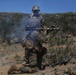 IMC Marines conduct fire, maneuver range