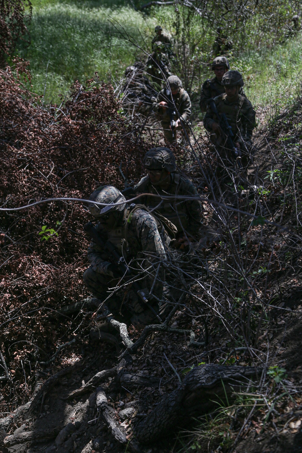 IMC Marines conduct fire, maneuver range