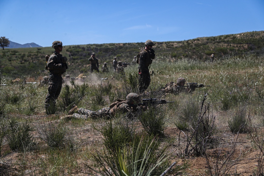 IMC Marines conduct fire, maneuver range