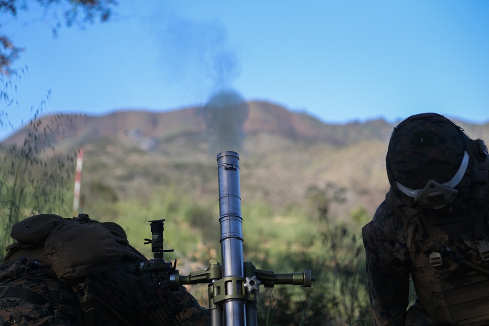 IMC Marines conduct fire, maneuver range