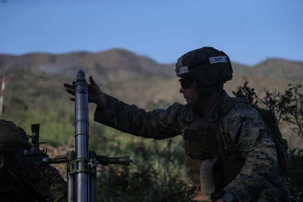 IMC Marines conduct fire, maneuver range