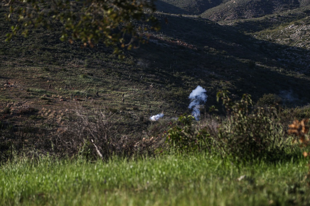 IMC Marines conduct fire, maneuver range