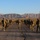 1st Squadron 221st Cavalry rucks for SHARP awareness