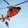 Coast Guard conducts canine hoist training