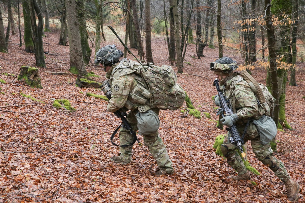 Patroling the Forest