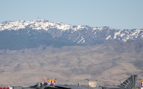 Hogs &amp; Dawg's complete joint training in Idaho