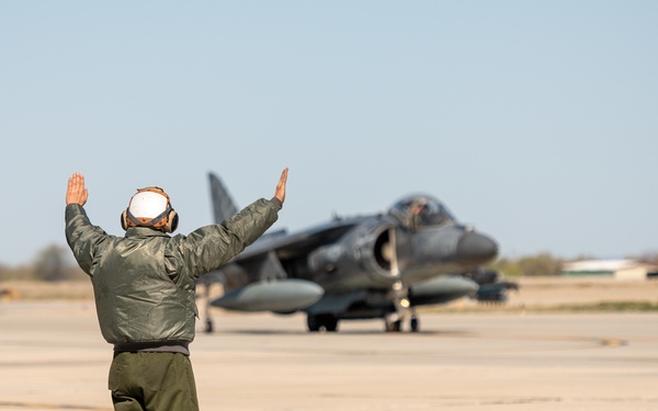 Hogs &amp; Dawg's complete joint training in Idaho