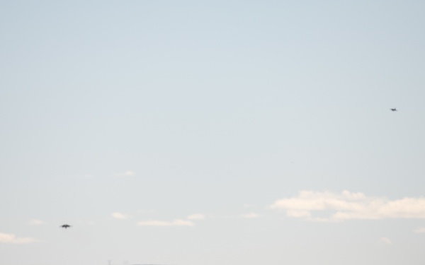 Hogs &amp; Dawg's complete joint training in Idaho