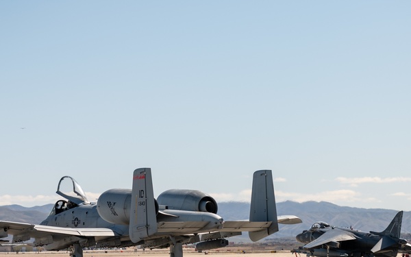 Hogs &amp; Dawg's complete joint training in Idaho