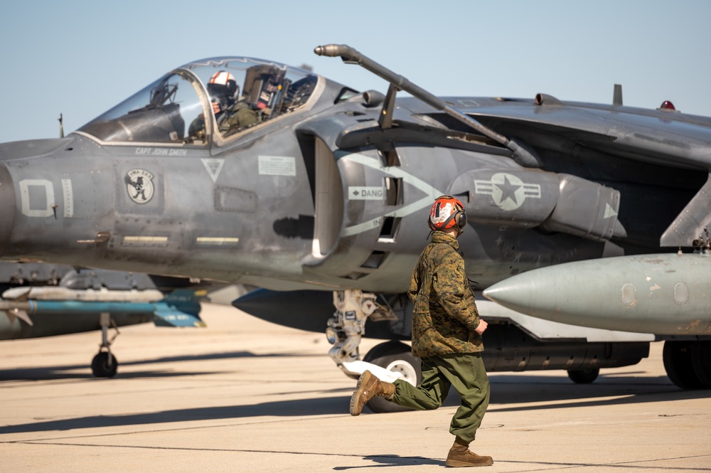 Hogs &amp; Dawg's complete joint training in Idaho